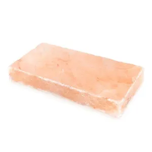 DISC-Himalayan Salt Block