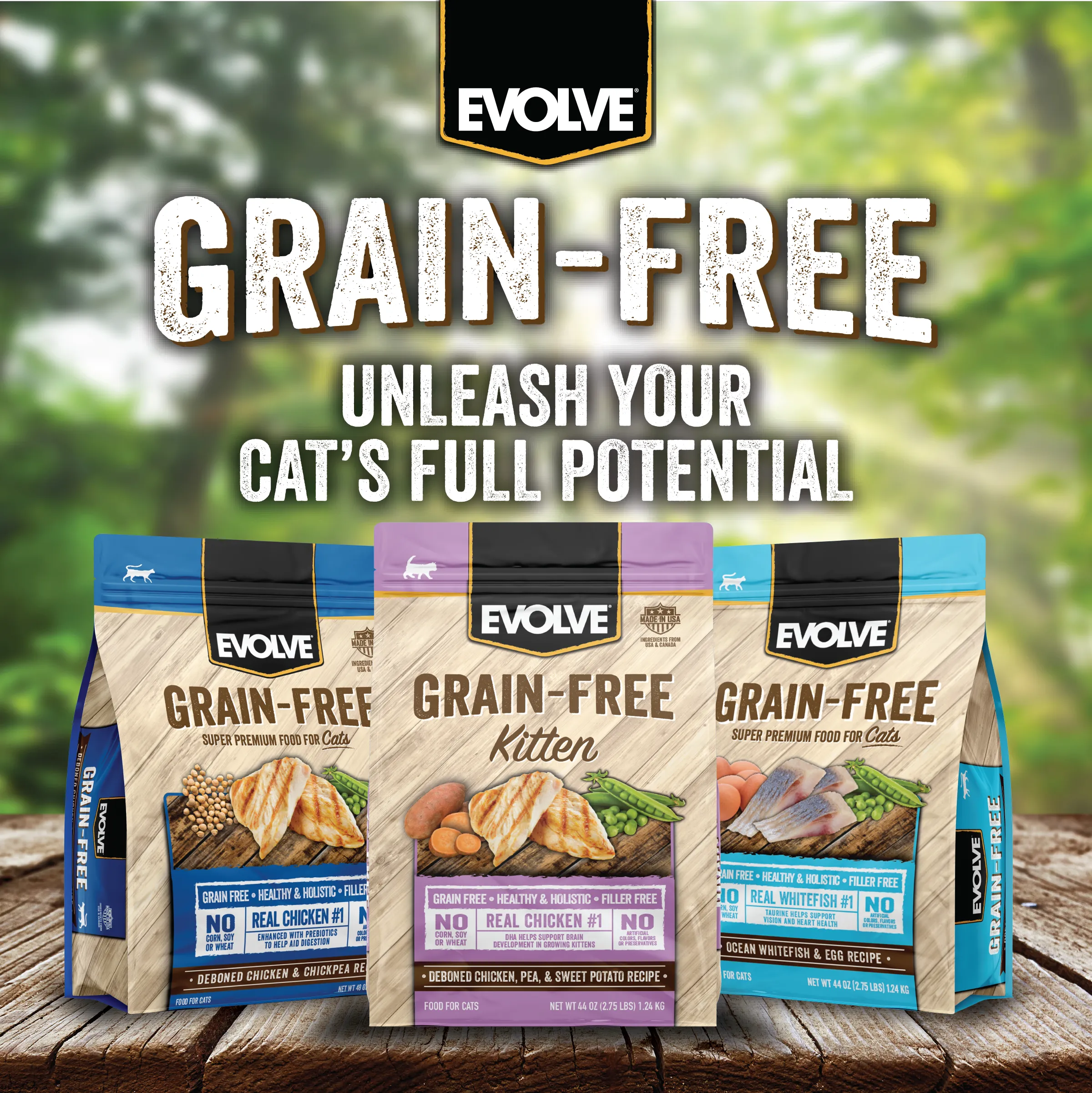 Grain Free Kitten Food | 2.75 LB | Evolve